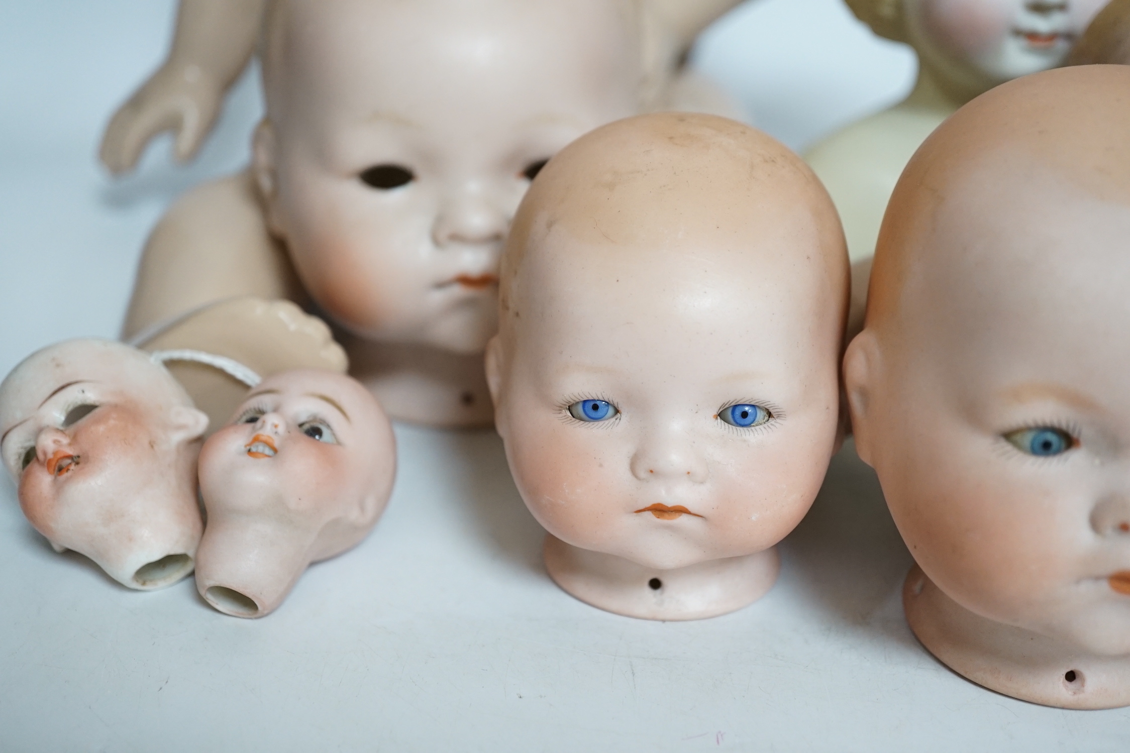 Ten bisque doll's heads and a reproduction Jules Steiner doll